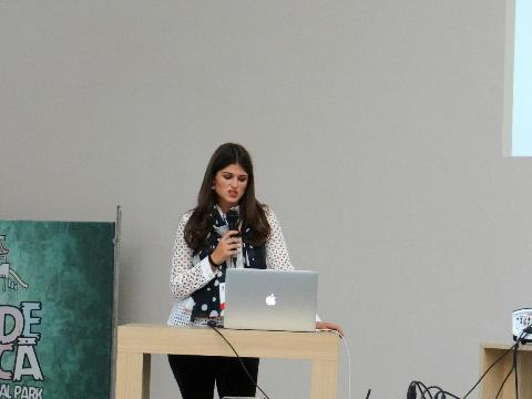 11th DAL Meeting, 2017 Orastie - Photos