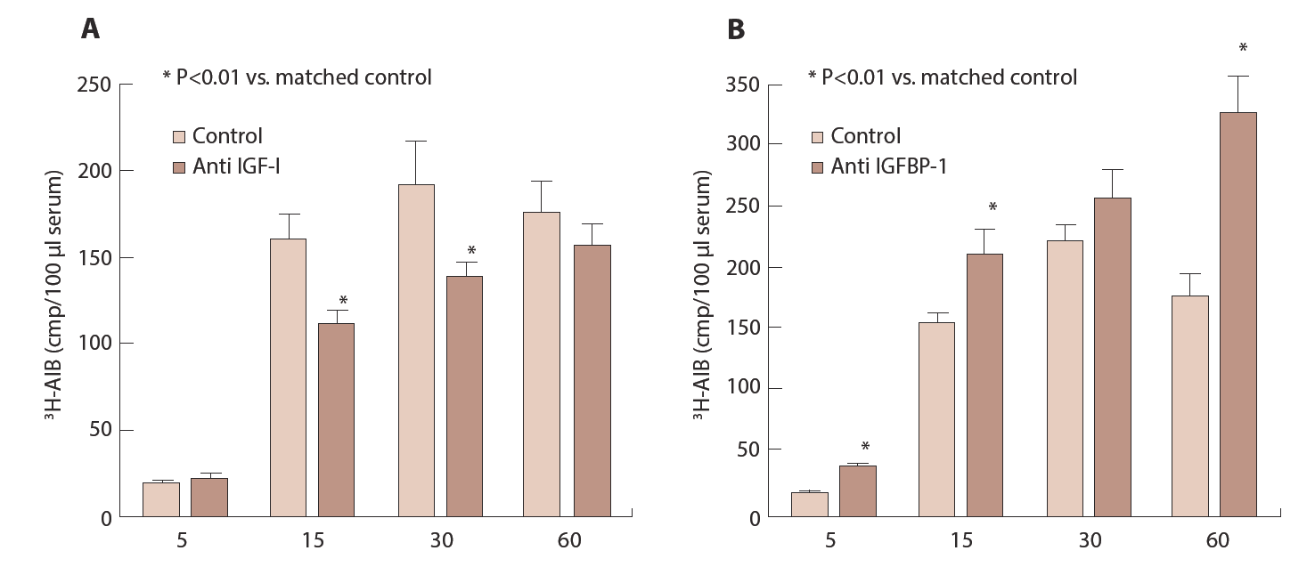 Figure 8. Effect of neutralisation of IGF-I (А) and IGFBP-1 (B) on 3Н-АIB transfer to fetus in mice